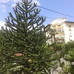 Centar Apartment *