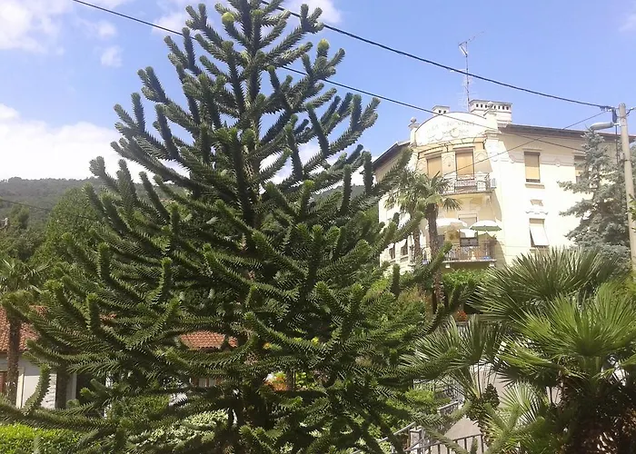 Centar Apartamento *